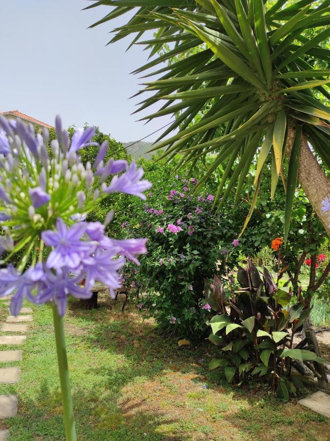 Epavli Veneti Otel Parga Dış mekan fotoğraf