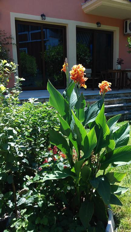 Epavli Veneti Otel Parga Dış mekan fotoğraf